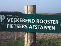 NL, Zeeland, Schouwen-Duiveland, Zeepeduinen 2, Saxifraga-Jan van der Straaten