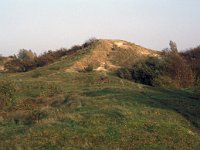 NL, Zeeland, Schouwen-Duiveland, Zeepeduinen 5, Saxifraga-Jan van der Straaten