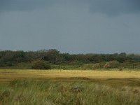 NL, Zuid-Holland, Den Haag, Solleveld 6, Foto Fitis-Sytske Dijksen