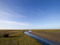 NL, Zuid-Holland, Goeree-Overflakkee, Kwade Hoek 77, Saxifraga-Bart Vastenhouw