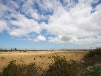 NL, Zuid-Holland, Oostvoorne, Groene Strand 1, Saxifraga-Bart Vastenhouw