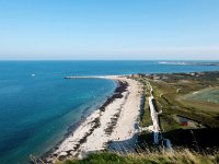 D, Schleswig-Holstein, Helgoland, NE Beach 1, Saxifrage-Bart Vastenhouw