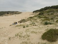 E, Cadiz, Tarifa, Bolonia 9, Saxifraga-Jan van der Straaten