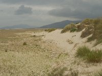 E, Cadiz, Tarifa, Playa de Lances 1, Saxifraga-Jan van der Straaten