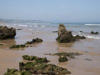 E, Cantabria, Liencres, Dunas de Liencres 12, Saxifraga-Willem van Kruijsbergen