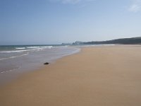 E, Cantabria, Liencres, Dunas de Liencres 21, Saxifraga-Willem van Kruijsbergen