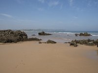 E, Cantabria, Liencres, Dunas de Liencres 22, Saxifraga-Willem van Kruijsbergen