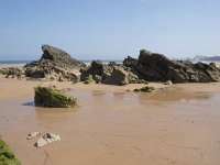 E, Cantabria, Liencres, Dunas de Liencres 24, Saxifraga-Willem van Kruijsbergen