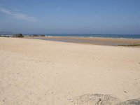 E, Cantabria, Liencres, Dunas de Liencres 47, Saxifraga-Willem van Kruijsbergen