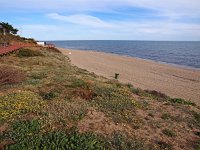 E, Malaga, Mijas, Sitia de Calahonda 4, Saxifraga-Hans Dekker