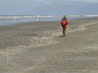 NL, Friesland, Terschelling, Boschplaat 33, Saxifraga-Jan van der Straaten