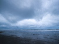 NL, Friesland, Vlieland, Northwest beach 2, Saxifraga-Bart Vastenhouw