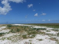 NL, Groningen, Eemsmond, Rottumeroog, Zuiderduin 4, Saxifraga-Mark Zekhuis