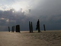 NL, Groningen, Eemsmond, Rottummeroog 3, Saxifraga-Mark Zekhuis