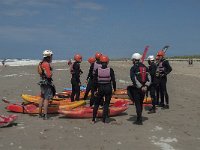 NL, Noord-Holland, Schoorl, Strand 4, Saxifraga-Jan van der Straaten