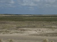 NL, Noord-Holland, Texel, De Slufter 45, Saxifraga-Willem van Kruijsbergen