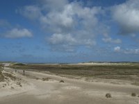 NL, Noord-Holland, Texel, De Slufter 48, Saxifraga-Willem van Kruijsbergen