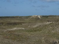 NL, Noord-Holland, Texel, De Slufter 51, Saxifraga-Willem van Kruijsbergen