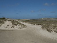 NL, Noord-Holland, Texel, De Slufter 56, Saxifraga-Willem van Kruijsbergen