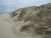 NL, Noord-Holland, Texel, Paal 15 4, Saxifraga-Willem van Kruijsbergen