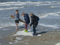 NL, Noord-Holland, Texel, Paal 21 4, Saxifraga-Willem van Kruijsbergen