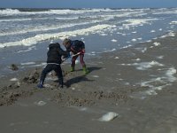 NL, Noord-Holland, Texel, Paal 21 7, Saxifraga-Willem van Kruijsbergen