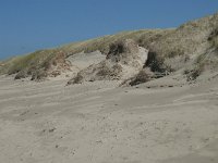 NL, Noord-Holland, Texel, Paal 24 2, Saxifraga-Willem van Kruijsbergen