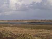 NL, Noord-Holland, Texel, Slufter 41, Saxifraga-Jan Nijendijk