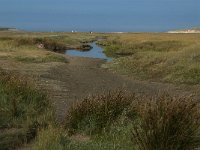 NL, Noord-Holland, Texel, Slufter 41, Saxifraga-Jan van der Straaten