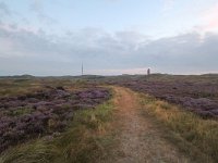 NL, Noord-Holland, Texel, Vuurtoren 1, Saxifraga-Bart Vastenhouw