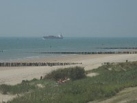 NL, Zeeland, Valkenisse, Westerschelde 3, Saxifraga-Jan van der Straaten