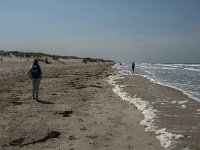 NL, Zeeland, Veere, Oranjezon 2, Saxifraga-Jan van der Straaten