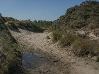 NL, Zuid-Holland, Goeree-Overflakkee, Kwade Hoek 2, Saxifraga-Jan van der Straaten