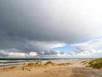 NL, Zuid-Holland, Rotterdam, Maasvlakte 4, Saxifraga-Bart Vastenhouw