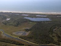 NL, Noord-Holland, Texel, De Muy 37, Saxifraga-Foto Fitis-Sytske Dijksen