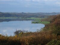 NL, Noord-Holland, Texel, Geulplas 5, Saxifraga-Foto Fitis-Sytske Dijksen