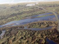 NL, Noord-Holland, Texel, Witteweg, Geulplas 3, Saxifraga-Foto Fitis-Sytske Dijksen