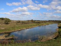 NL, Zuid-Holland, Noordwijk, Amsterdamse Waterleidingduinen 10, Saxifraga-Foto Fitis-Sytske Dijksen