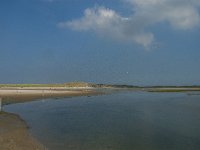 NL, Noord-Holland, Texel, Slufter 42, Saxifraga-Jan van der Straaten