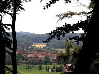 D, Niedersachsen, Hagen am Teutoburgerwald, Silberberg 1, Saxifraga-Hans Dekker