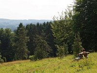 D, Niedersachsen, Hagen am Teutoburgerwald, Silberberg 3, Saxifraga-Hans Dekker