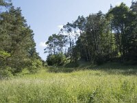 D, Rheinland-Pfalz, Prum, Schonecken 1, Saxifraga-Willem van Kruijsbergen