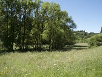 D, Rheinland-Pfalz, Prum, Schonecken 10, Saxifraga-Willem van Kruijsbergen