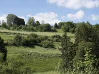 D, Rheinland-Pfalz, Prum, Schonecken 5, Saxifraga-Willem van Kruijsbergen