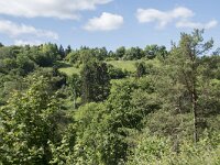 D, Rheinland-Pfalz, Prum, Schonecken 6, Saxifraga-Willem van Kruijsbergen