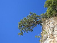 GR, Anatoliki Makedonia ke Traki, Nestos 7, Saxifraga-Dirk Hilbers