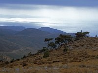 GR, Chios, Chios, Panagias 12, Saxifraga-Jan van der Straaten