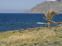 GR, Crete, Lasithi, Mohlos 10, Saxifraga-Jan van der Straaten