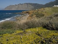 GR, Crete, Lasithi, Ormos Mochlou 10, Saxifraga-Willem van Kruijsbergen