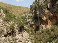 GR, Crete, Rethimnon, Patsos, Antonio Gorge 2, Saxifraga-Willem van Kruijsbergen